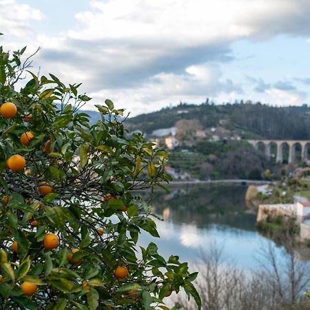 فيلا Casa Da Torre, Porto Manso ريبا دورو المظهر الخارجي الصورة