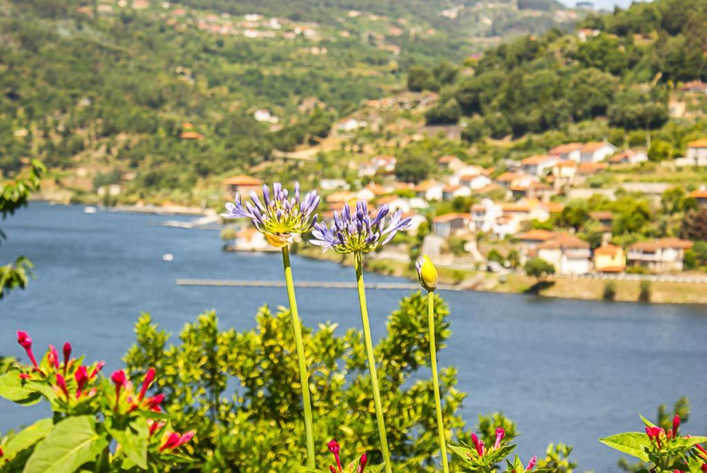 فيلا Casa Da Torre, Porto Manso ريبا دورو المظهر الخارجي الصورة