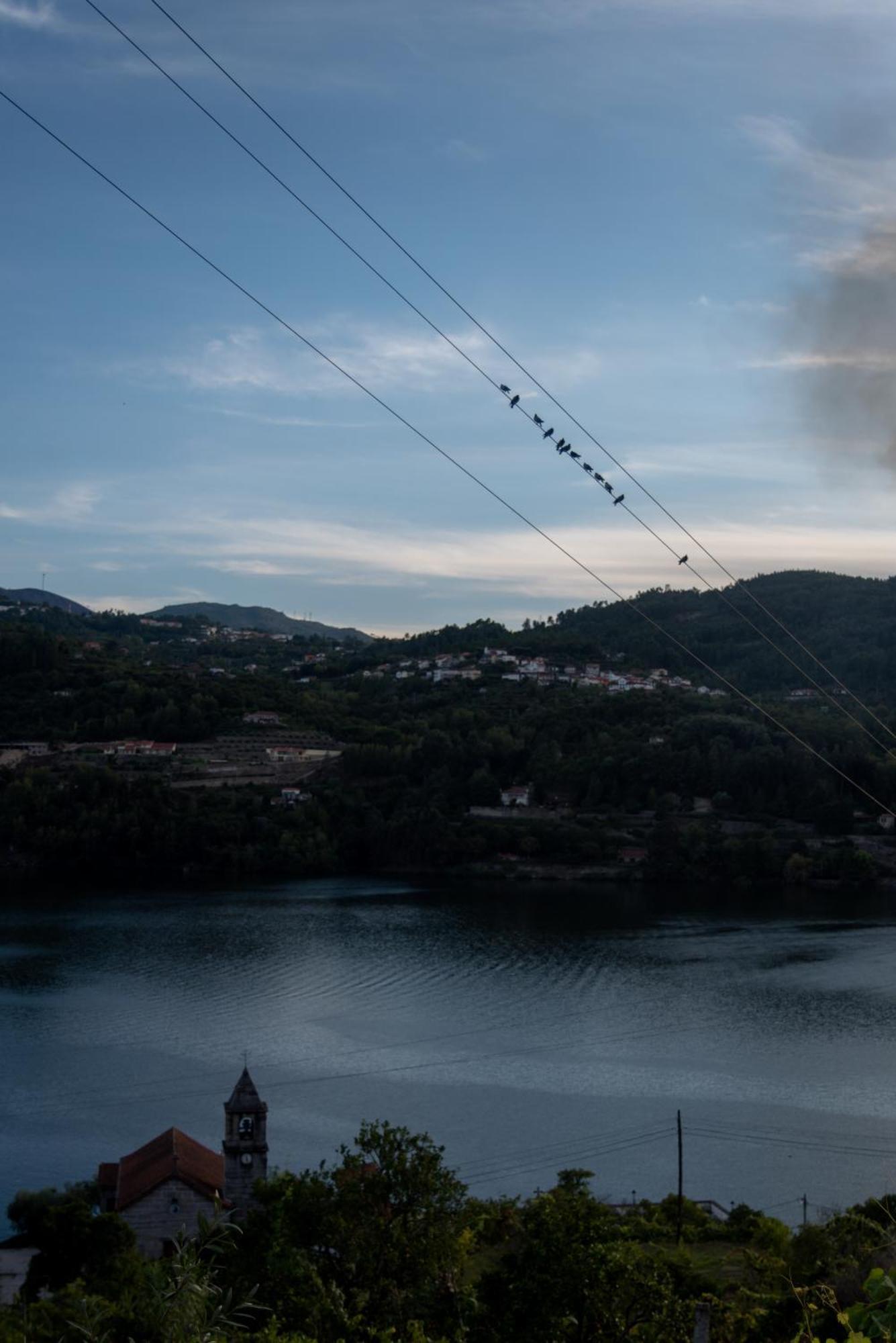 فيلا Casa Da Torre, Porto Manso ريبا دورو المظهر الخارجي الصورة