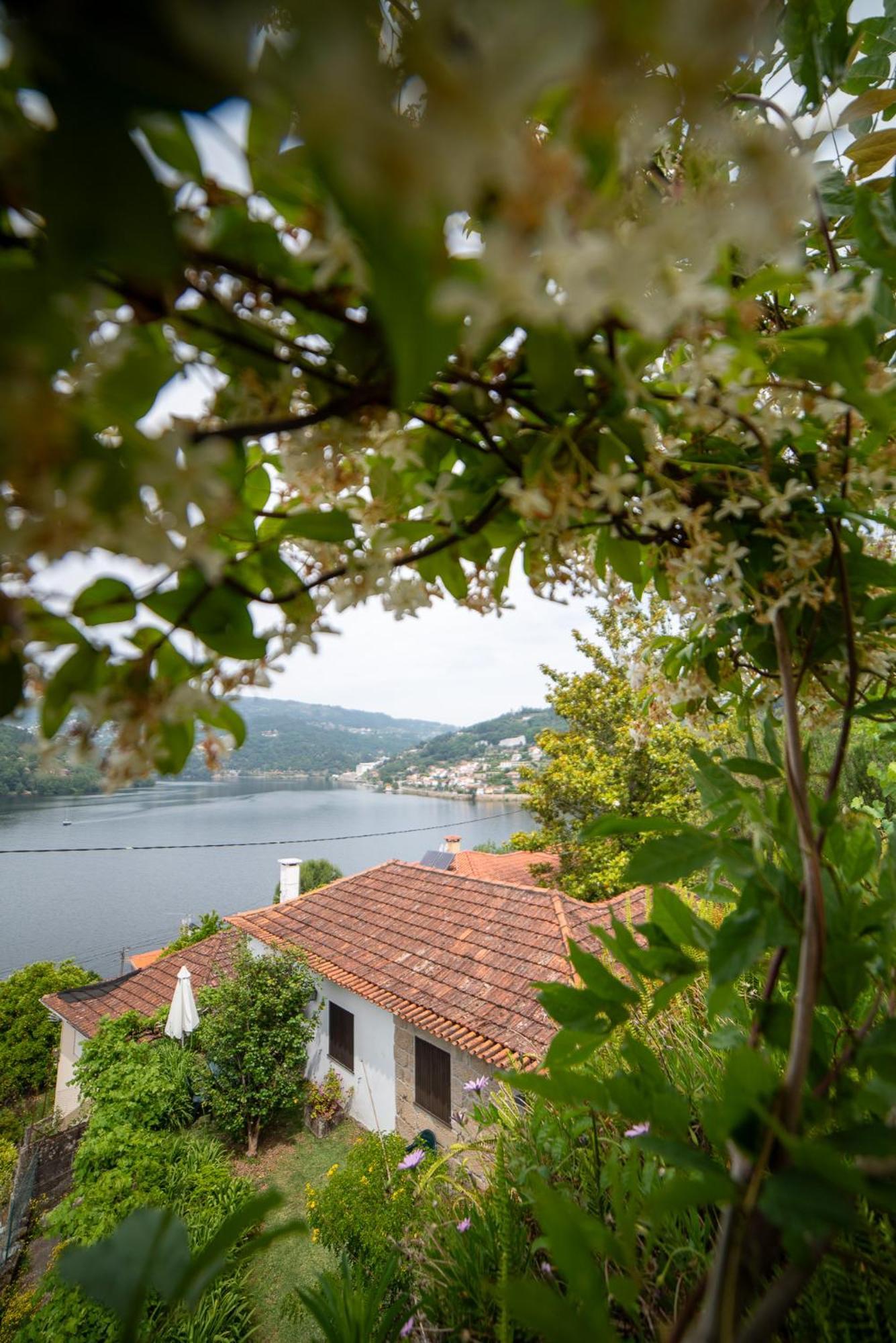 فيلا Casa Da Torre, Porto Manso ريبا دورو المظهر الخارجي الصورة